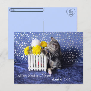 Cartão Postal Posto - Tudo que você precisa é amor e um gato