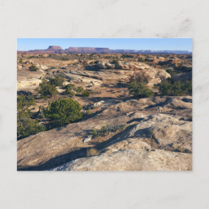 Cartão Postal Pothole Point Trail no Parque Nacional de Canyonla