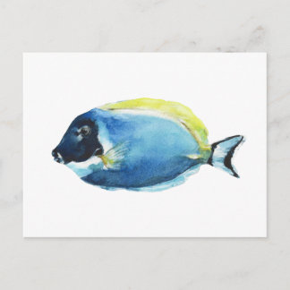 Cartão Postal Powder Blue Tang Fish Postcard
