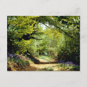 Cartão Postal Powerhill Woodlands Batalha, East Sussex, Inglater
