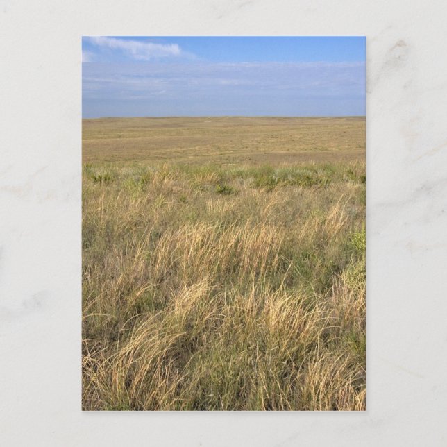 Cartão Postal Pradaria Grassland a leste de Sidney, Nebraska. (Frente)