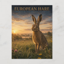 Prado de Lebre Europeia ANIMAIS