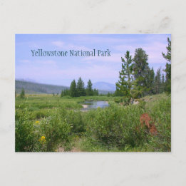Cartão Postal Prado de Verão em Yellowstone