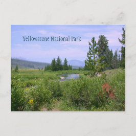 Cartão Postal Prado de Verão em Yellowstone