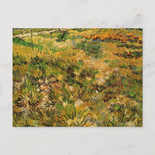 Cartão Postal Prado no Hospital Saint Paul por Vincent van Gogh