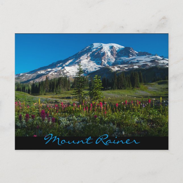 Cartão Postal Prados paraísos flores silvestres (Frente)