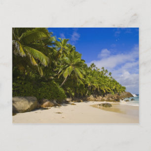 Cartão Postal Praia Anse Victorin 3