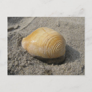 Cartão Postal Praia Aproxima-se