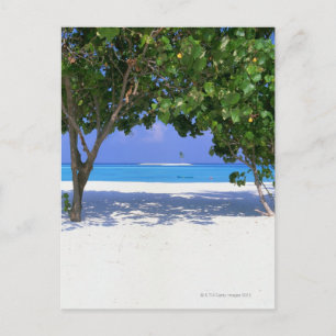 Cartão Postal Praia Arenosa