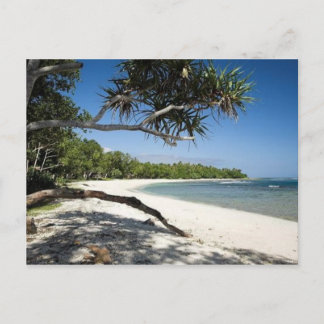 Cartão Postal Praia australiana