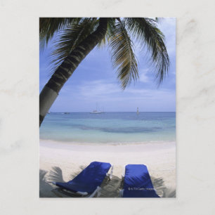 Cartão Postal Praia, Cadeira de Salão, Palmeira, Horizonte Sobr