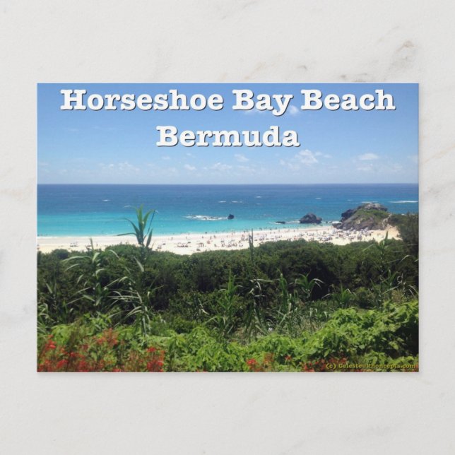 Cartão Postal Praia da Baía de Ferradura, Bermudas (Frente)