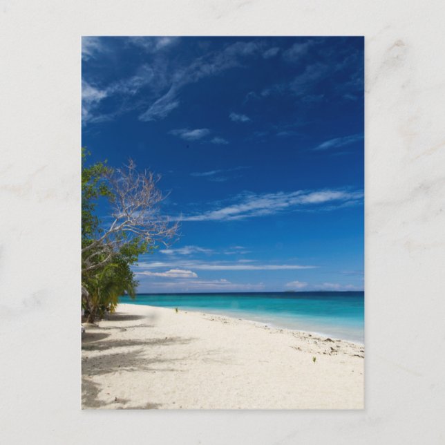 Cartão Postal Praia da Ilha do Mar do Sul, Fiji (Frente)