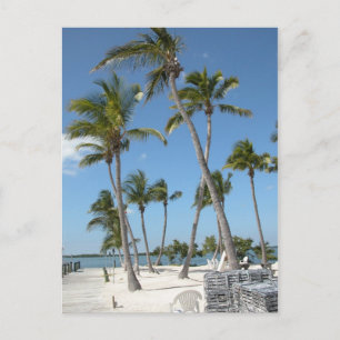 Cartão Postal Praia de Islamorada Florida