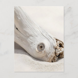 Cartão Postal Praia de Madeira Flutuante Orgânica Minimalista Co