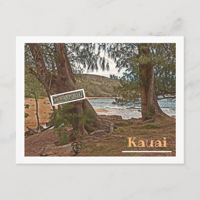 CARTÃO POSTAL "PRAIA DE MOLÓGICA DO CAMINHO APAGADO" (Frente)