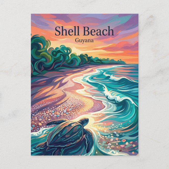 Cartão Postal Praia de Shell Guyana (Frente)