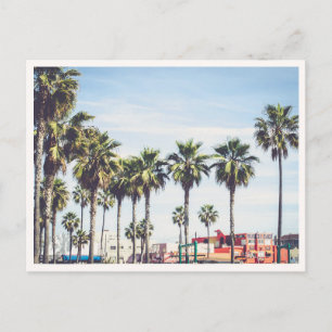 Cartão Postal Praia de Venice Beach Califórnia Palmeira