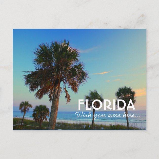 Cartão Postal Praia do Panamá, Flórida, Queria Que Você Estivess (Frente)