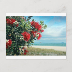 Cartão Postal Praia do Paraíso das Flores Vermelhas no Verão d
