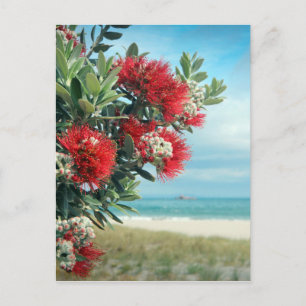 Cartão Postal Praia do Paraíso das Flores Vermelhas no Verão d