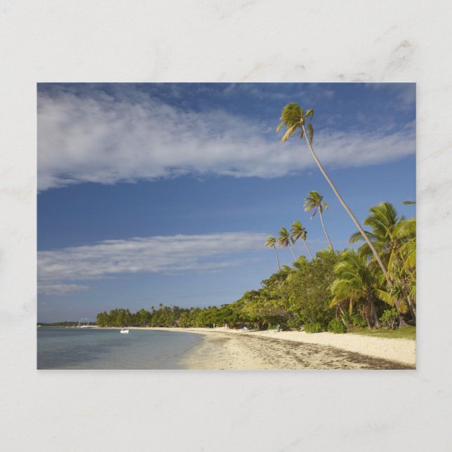 Cartão Postal Praia e palmeiras, Plantation Island Resort (Frente)