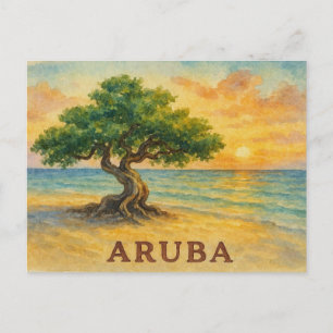 Cartão Postal Praia Eagle Aruba Divi Tree Golden Hour