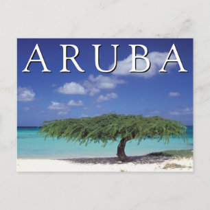 Cartão Postal Praia Eagle   Caribe, Aruba