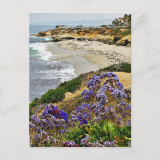 Cartão Postal Praia Em La Jolla Cove