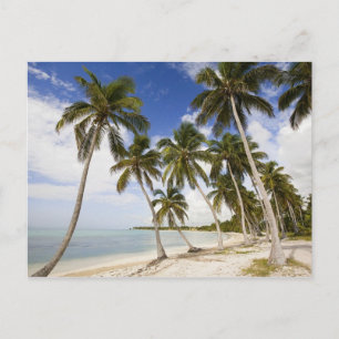 Cartão Postal Praia em Punta Cana