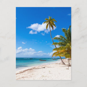 Cartão Postal Praia em Saona República Dominicana