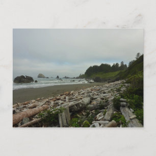 Cartão Postal Praia Escondida I no Parque Nacional Redwood
