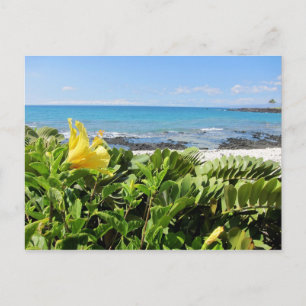 Cartão Postal Praia Havaiana