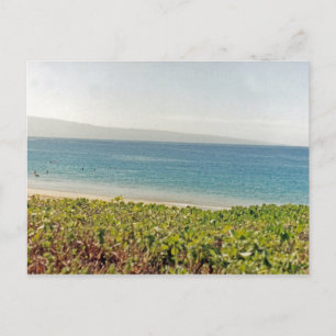 Cartão Postal Praia Havaiana I