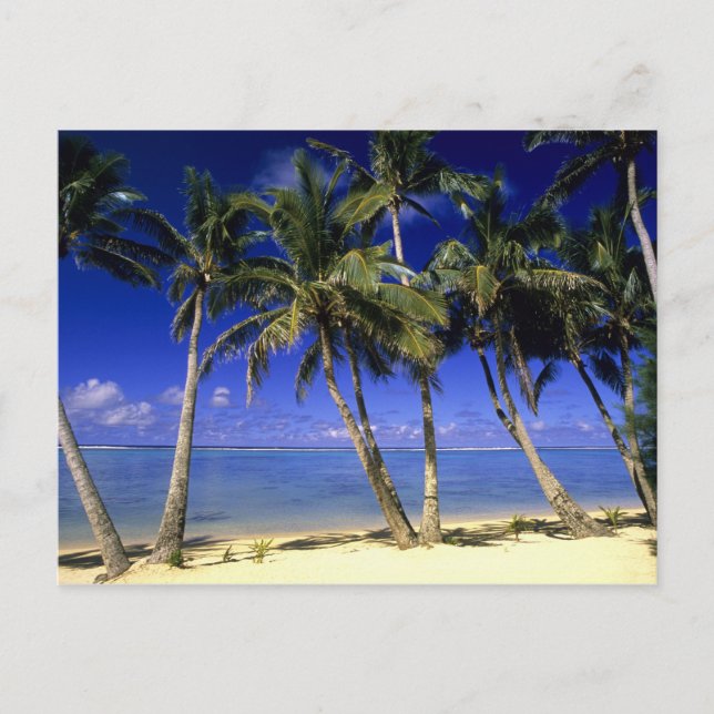 Cartão Postal Praia ladeada por palmeiras Ilhas Cook 4 (Frente)