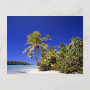 Cartão Postal Praia ladeada por palmeiras Ilhas Cook 7