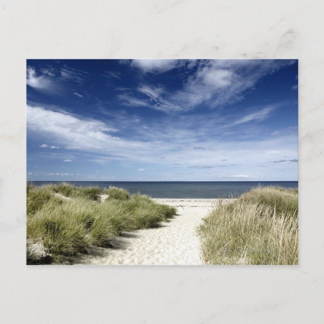 Cartão Postal Praia, MÃES da Galeria (Frente)