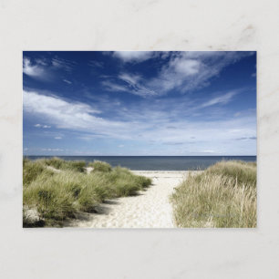 Cartão Postal Praia, MÃES da Galeria