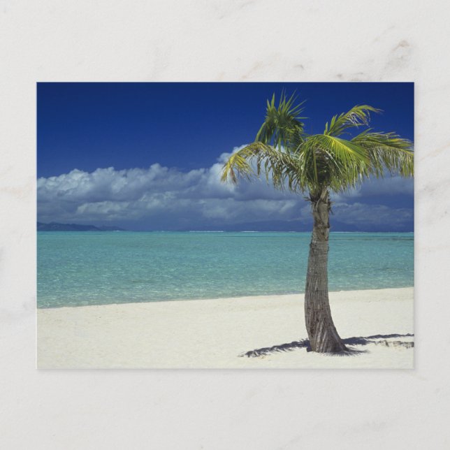 Cartão Postal Praia Matira na ilha de Bora Bora, 2 (Frente)