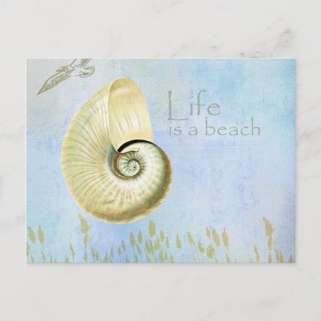 Cartão Postal Praia pacífica II (Frente)