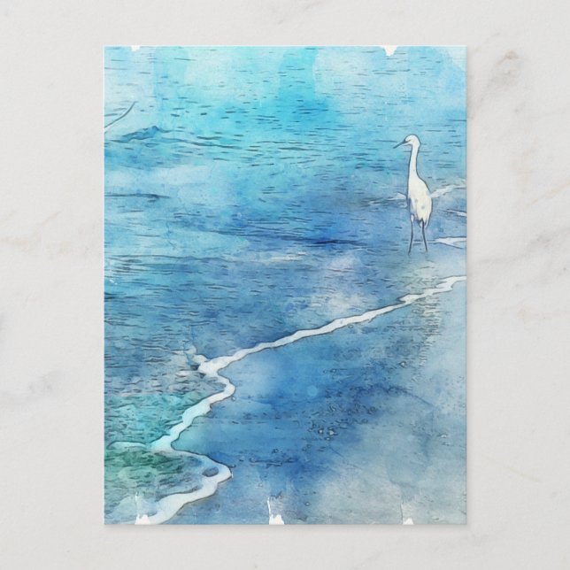 Cartão Postal Praia Tropical de Teal Aqua Turquoise Azul (Frente)