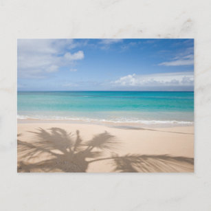 Cartão Postal Praias Tropicais   Maui, Havaí