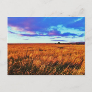 Cartão Postal Prairie Sunset