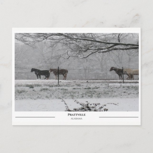 Cartão Postal Prattville Alabama (Frente)