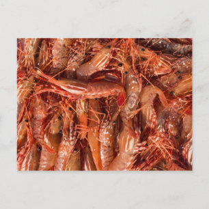 Cartão Postal Prawns Deliciosos