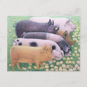 Cartão Postal Prazer puro