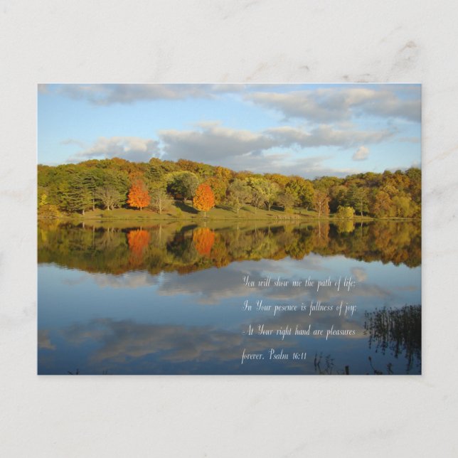 Cartão Postal Prazos do outono (Frente)