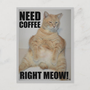 Cartão Postal PRECISA DE CAFÉ COM O MEIO CERTO! Manx Cat Sentad