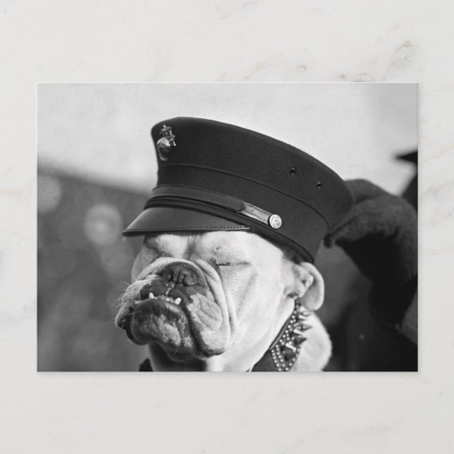 Cartão Postal Preciso de uma soneca: 1923 (Frente)