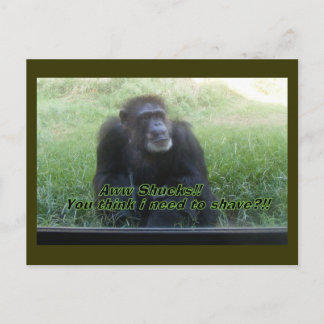 Cartão Postal Preciso me barbear?